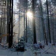 Snowy landscape featuring the woods on the Property - 