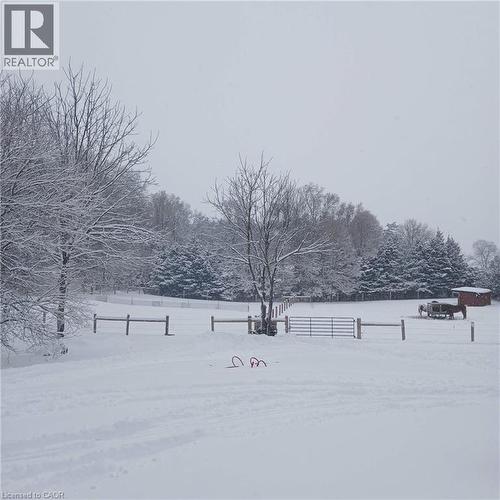 Horse Pasture - 535 Mcdowell Road E, Simcoe, ON - Outdoor With View