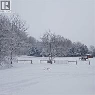 Horse Pasture - 