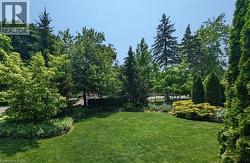 Front Yard Privacy - 