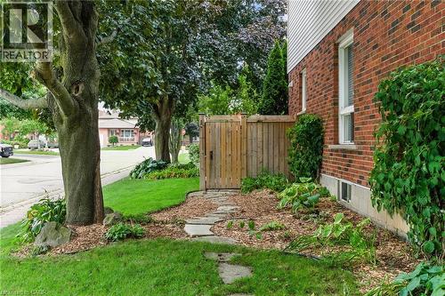 3 Atkins Drive, Hamilton, ON - Outdoor