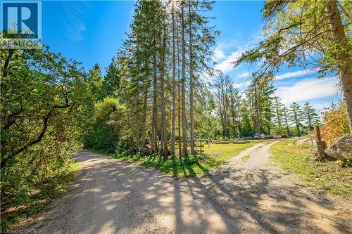 1230 Forsters Road, Minden Hills, ON - Outdoor With View