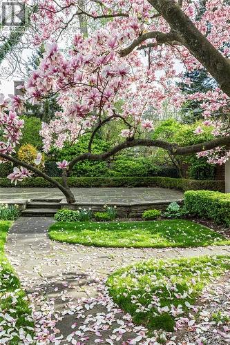 45 Markland Street, Hamilton, ON - Outdoor