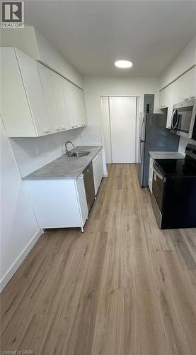 Kitchen featuring appliances with stainless steel finishes, white cabinetry, light wood-type flooring, and light countertops - 145 Macgregor Crescent Unit# 1, Waterloo, ON - Indoor Photo Showing Kitchen