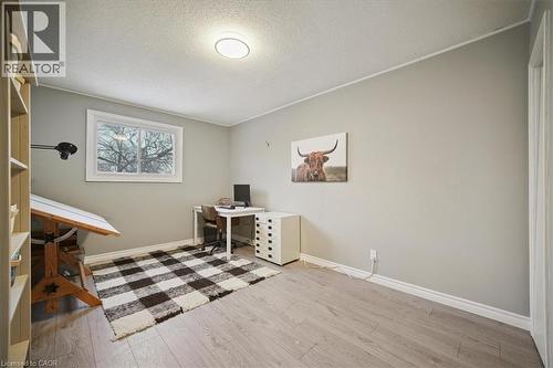 171 Paling Avenue, Hamilton, ON - Indoor