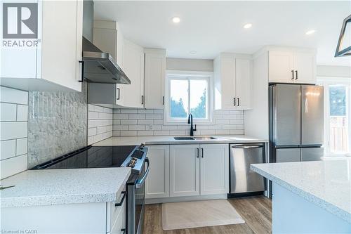 100 North Park Street, Brantford, ON - Indoor Photo Showing Kitchen With Double Sink With Upgraded Kitchen