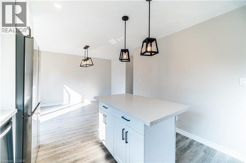 100 North Park Street, Brantford, ON - Indoor Photo Showing Kitchen