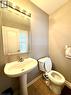 183 Chase Crescent, Cambridge, ON  - Indoor Photo Showing Bathroom 