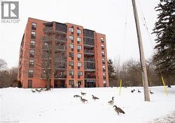 5 MILL POND Court Unit# 704 Simcoe, ON N3Y 5J6