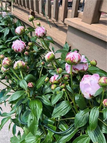 75 Etherington Crescent, Binbrook, ON - Outdoor