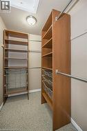 Walk in closet with light carpet - 