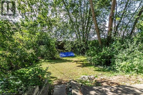 133 Albert Street, Waterloo, ON - Outdoor