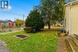 View of grassy yard - 