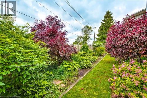 53 Myrtle Avenue, St. Catharines, ON - Outdoor