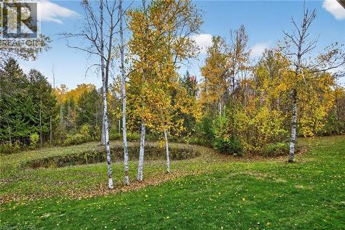 152B Wannamaker Road, Stirling, ON - Outdoor With View