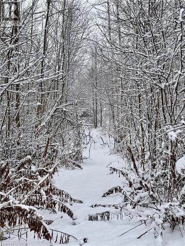 152B Wannamaker Road, Stirling, ON - Outdoor