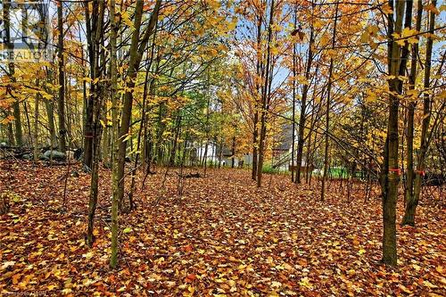 152B Wannamaker Road, Stirling, ON - Outdoor