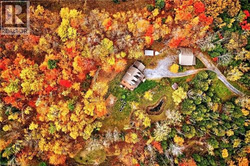 152B Wannamaker Road, Stirling, ON - Outdoor