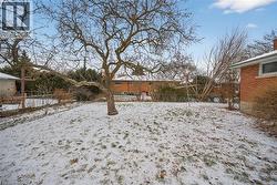 View of yard covered in snow - 