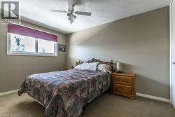 Carpeted bedroom with baseboards and a ceiling fan - 