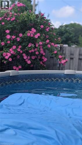 Above ground pool - 22 Redwing Road, Hamilton, ON - Outdoor