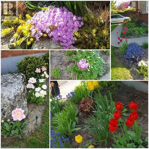 Beautiful Gardens - 22 Redwing Road, Hamilton, ON - Outdoor