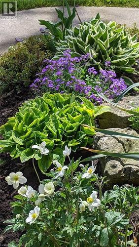 Perianal gardens - 22 Redwing Road, Hamilton, ON - Outdoor