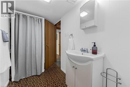 Basement - 77 Lawfield Drive, Hamilton, ON - Indoor Photo Showing Bathroom