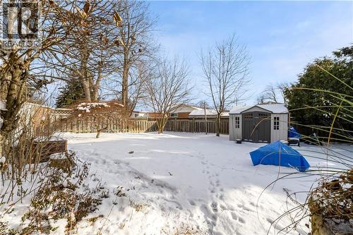Yard with Shed - 77 Lawfield Drive, Hamilton, ON - Outdoor