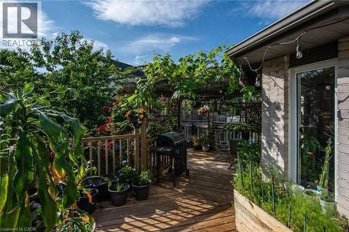 11 Apple Ridge Drive, Kitchener, ON - Outdoor With Deck Patio Veranda