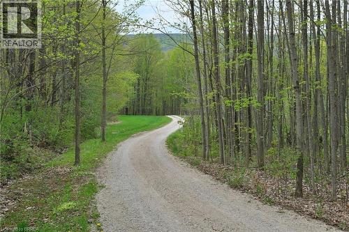 546299 Sideroad 4B, Kimberley, ON - Outdoor With View