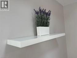 Detailed view of living room floating picture shelf on Freshly-painted walls - 