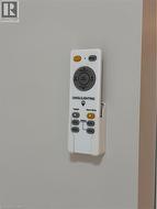 LED ceiling lights with remotes to customize degree of lighting in livingroom & bedroom - 