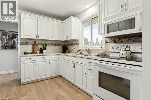16 Old Oxford Road, St. Catharines, ON - Indoor Photo Showing Kitchen With Double Sink