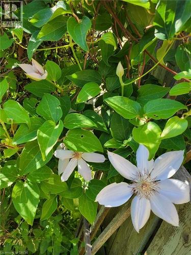 16 Old Oxford Road, St. Catharines, ON - Outdoor