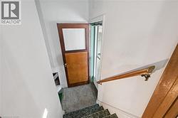 Stairs with carpet and baseboards - 