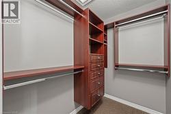 Spacious closet with dark carpet - 