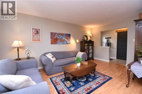 119 Gemini Drive, Hamilton, ON - Indoor Photo Showing Living Room
