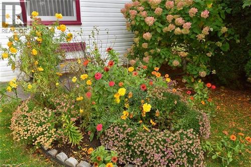 564 Evans Road, Hamilton, ON - Outdoor