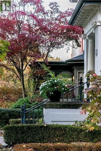 3 Turner Avenue, Hamilton, ON - Outdoor