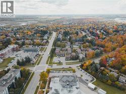 Aerial view of a tree filled landscape - 