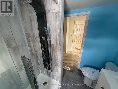 541 Burtch Road, Brantford, ON - Indoor Photo Showing Bathroom