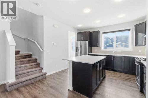 61 Savanna Link Ne, Calgary, AB - Indoor Photo Showing Kitchen With Upgraded Kitchen