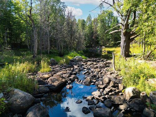 Accès au plan d'eau - 481 Côte St-Patrick, Saint-Colomban, QC - Outdoor