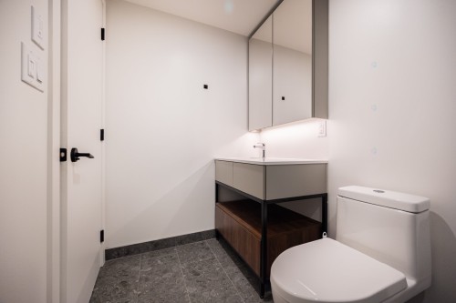 Salle de bains - 5310-1245 Rue De Bleury, Montréal (Ville-Marie), QC - Indoor Photo Showing Bathroom