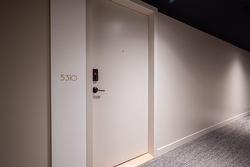 Hall d'entrée/Vestibule - 