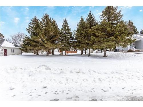 21 Champlain, Bouctouche, NB 