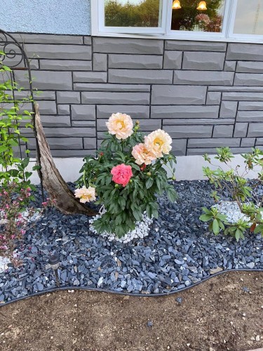 Façade - 611 Rue Kenny, Gatineau (Buckingham), QC - Outdoor