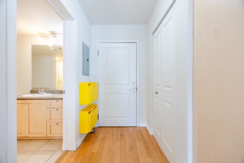 Hall d'entrée/Vestibule - 1210-1200 Rue St-Jacques, Montréal (Ville-Marie), QC - Indoor Photo Showing Other Room