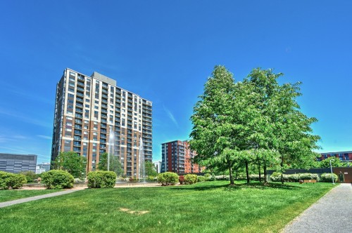 Jardin - 1210-1200 Rue St-Jacques, Montréal (Ville-Marie), QC - Outdoor With Facade
